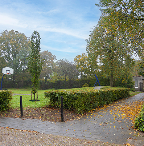 Huisartsenpraktijk van Beijsterveldt